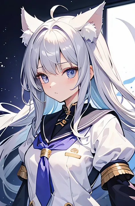 Cat ear　silver hair　girl　14 years old　low length　small breasts　reincarnation　night　uniform　whole body　tail
