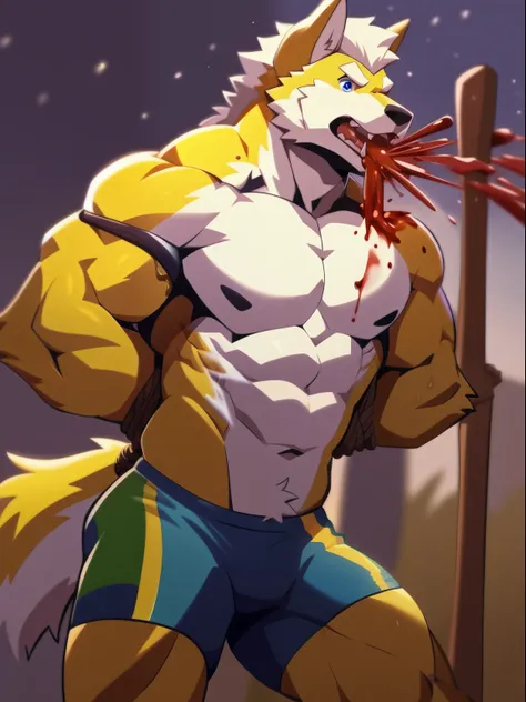 single,two wolves, wolf head, wolf tail, stalwart, หูเหลืองsexy, yellow hair, hair on arm, hair on legs, Yellow fur all over,naked, ,muscle,sexy, handsome man, (blue eyes details), White eyebrows, (sports shorts); (Masterpiece, high resolution, best qualit...