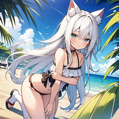 Cat ears, white hair, long hair, seaside, sandy beach, swimsuit, wet skin, small breasts, having tropical juice