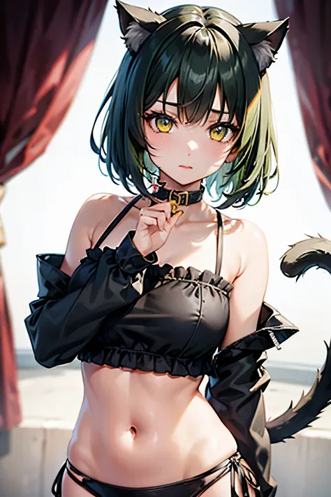 Cute girl, yellow eyes, short dark green hair, cat ears, cat collar, cat tail, Beautiful eyes, better hands