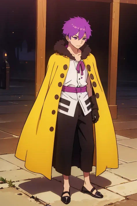 (young guy), purple hair, from a noble family, fantasy, full length, stubborn