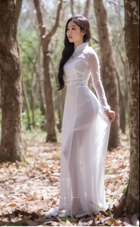 Woman in white dress standing in forest, Ao dai, translucent dress, Full body white dress, beautiful white long dress, white long dress, beautiful woman in white clothes, Tomorrow, Tran-hyung, see through dress, dressed a long white, dressed in beautiful w...