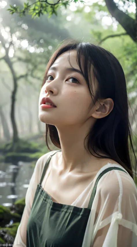 Beautiful face, Best Quality,ultra high natural light, Shiny skin,Detailed skin,Detailed face,Detailed eyes, Beautiful japanese girl, In the deep forest, (Fog:1.2), Sateen, puddle, myst, Water, downpour, Many trees