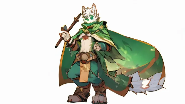 character design sheet,blank background,plant elements,magic,Dog orc with white hair all over his body,muscular,There are green patterns on the wrists,Green stripes on the tips and base of the ears,green eyes,Green eyebrows,Green shawl,green cloak,The bott...