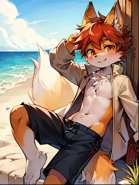 Panoramic outdoor views，fox boy，male focus，Furry Shota，Bright Eyes，Height 1.6 meters，summer coat，Shorts pants，Smile