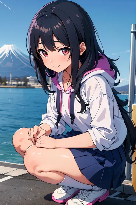 At the foot of Mt. Fuji　field　elementary school girl　8-year-old　flat chest　black hair　long hair　eyes are purple　smile（（1 person））　Hooded hoodie with upper body pink　Lower body navy blue miniskirt　white panties　white socks　sports boots　daytime　squatting dow...