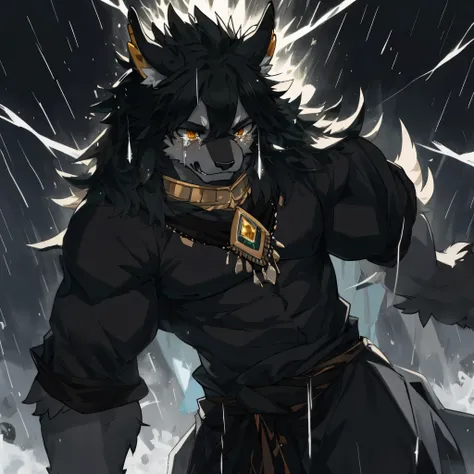 cover page, Darkness with diamonds falling like rain, Beastmen whose tears become jewels, Express your grief with your whole body, kemono, furry,