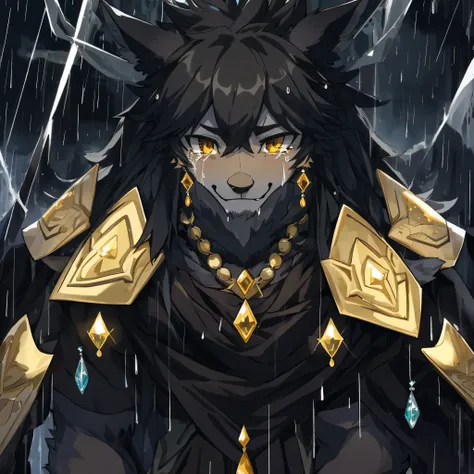 cover page, Darkness with diamonds falling like rain, Beastmen whose tears become jewels, Express your grief with your whole body, kemono, furry,