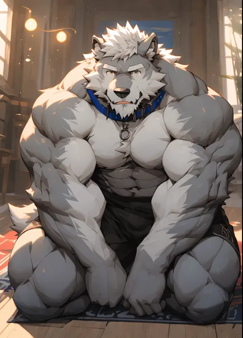 （masterpiece），（Very detailed），（best quality），alone，hairy，Wolf，gray fur，white hair，black beard，muscular，Physically strong，（blue collar 1.3），naked，Kneel down and sit on the ground，room background，8k，（（high quality））