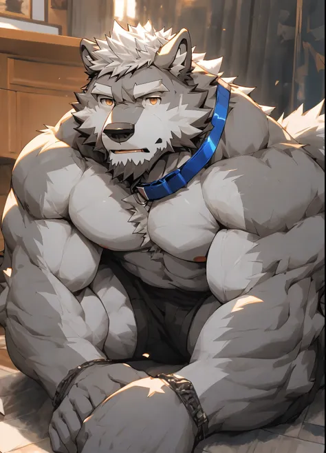 （masterpiece），（very detailed），（best quality），alone，hairy，wolf，gray fur，white hair，black beard，muscular，physically strong，（blue c...