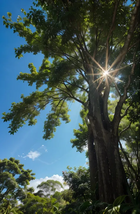 Photorealistic image of a tree, Brazilian jequitibá, foto da arvore inteira,muito bem detalhada,with sun rays penetrating the treetop, Blue sky,dia bonito,image only of jequitibá