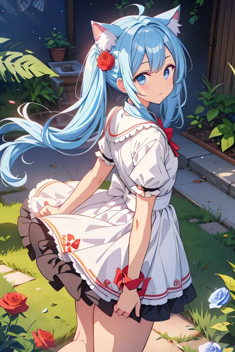 Cat ear　blue hair　twin tails　white dress　Are standing　horizontal posture　　rose field　