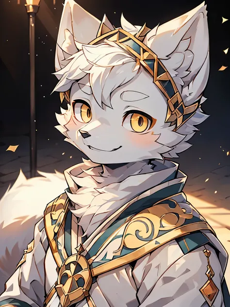 (best picture quality),(masterpiece),(((the only person))),(Super detailed),(male arctic fox:1.5), (white skin:1.3), hairy，(white fur:1.3),((golden pupils)) ,(gray ears),(hairy 动物 耳朵s)，((Wearing classical theater costumes)，natural lighting，complex backgrou...