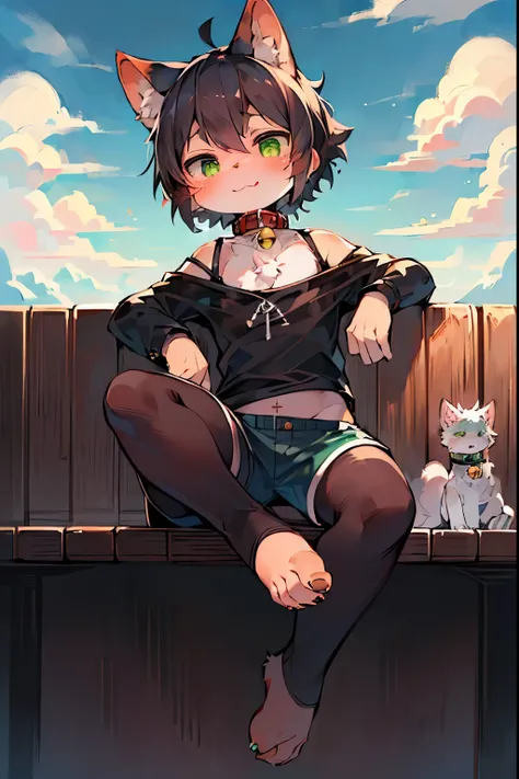 Masterpiece, high quality, absurd resolution, digital painting  (artwork ), by dagasi, yupa, kiyosan, (fluffy fur, black fur, full body fur,). Boy, green eyes, black hair, shorts, barefoot, black stockings, bright eyes, panorama, character focus. Detailed ...