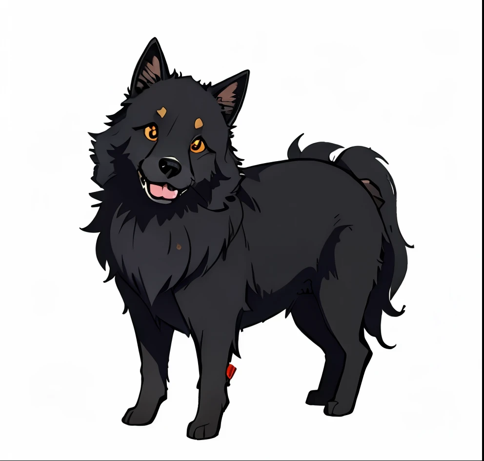 Black Spitz