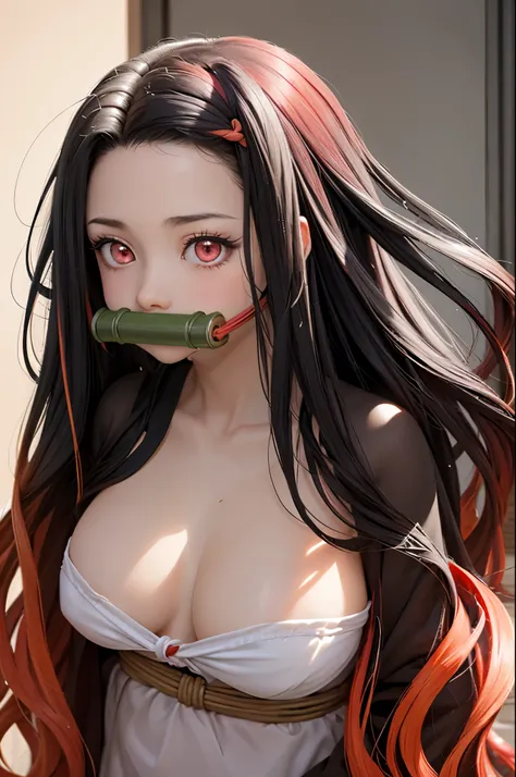 (masterpiece, best quality), 1girl, nezuko, very long hair, multicolored hair, black hair, red hair, gagged, bamboo, gag