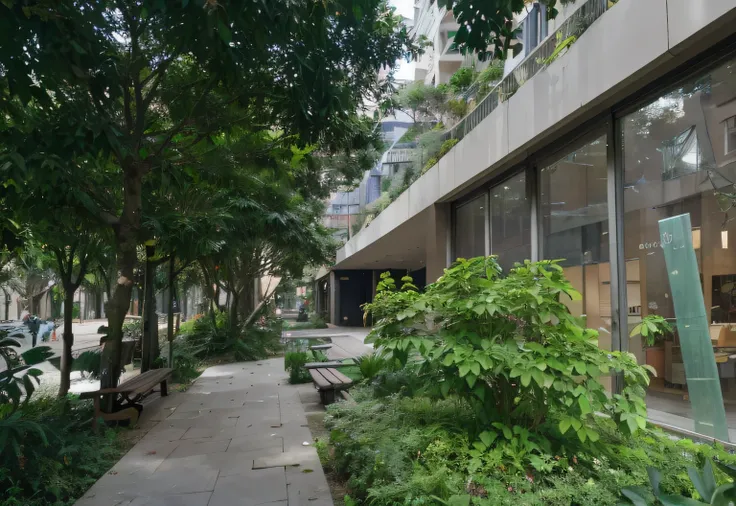 there is a sidewalk with benches and trees, lush vegetation in the center, empty buildings with vegetation, Courtyard walkway, vibrant greenery outside, natureza crescendo ao redor da cidade, green terrace, The city is full of green plants, the neat and de...