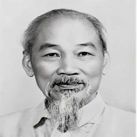 a black and white photo of a man with a beard, dao trong le, bao pham, chiba yudai, phuoc quan, christopher c. lee, lin hsiang, ...