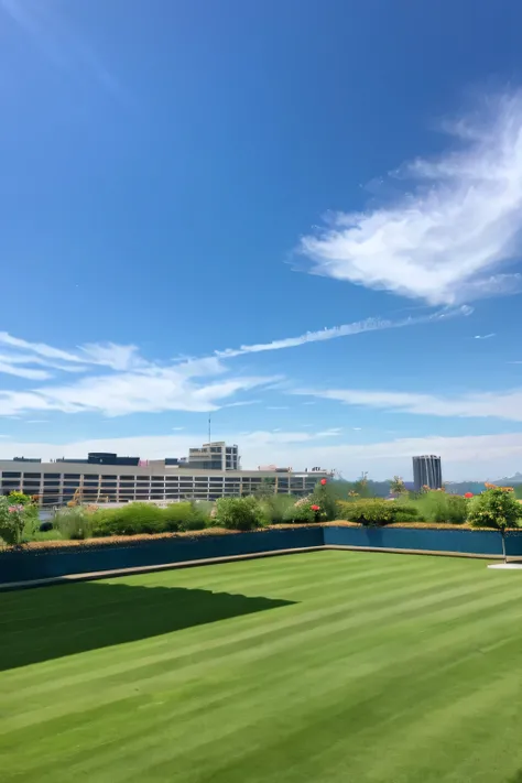 The lawn and blue sky of the rooftop garden with a great view and no one around