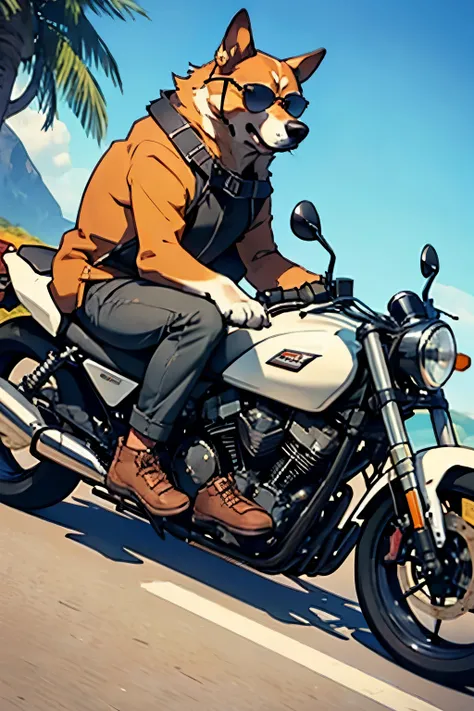 dog with sunglasses sitting on motorcycle looking badass