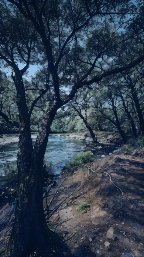 there is a tree that is next to a river in the woods, forest and river, river in a forest, with trees and rivers, beside the river, river in the wood, next to a small river, trees bent over the river, trees bent over river, scenic view of river, small rive...