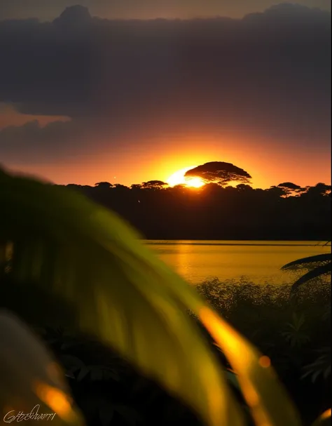 por-do-sol na floresta amazonica, fotografia premiada, Bokeh, Profundidade de Campo, HDR, bloom, chromatic aberration, fotorrealista, extremamente detalhado, trending in artstation, trend in CGSociety, Intricate, High Detail, dramatic, arte por midjourne