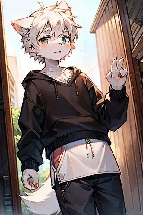 1 Chico, Wolf, off-white fur, young people, , messy hair, white hair, short hair, , Very detailed, Casual Clothing，Different pupils，The right eye is golden，The right eye is blue