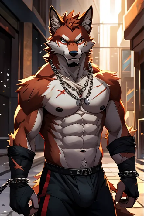 Masterpieces, furry, male, Anthropomorphic, red furred wolf, veiny, athletic body, Delicate eyes, white goatee, furred body, street thug, fighter, anime, depth of field, perfect lighting, (best quality),(masterpiece),(ultra detailed), sharp focus, light pa...