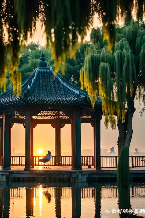 Scenery of Jiangnan in China，an old pavilion，There are many pigeons flying on the lake，Weeping willow beside the first classroom pavilion，sunset landscape