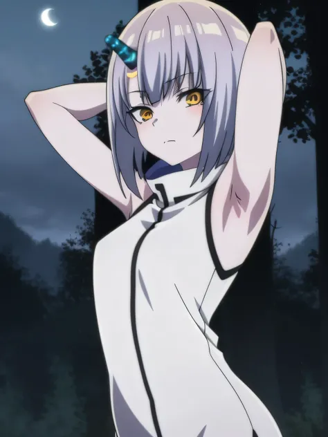 Atar
anime, hdr, soft light, ((best quality)), ((masterpiece)), (detailed), 2D, anime, anime coloring, high quality, closed mouth, solo, upper body, night sky, forest, arms behind head, contrapposto, expressionless, spread armpits,