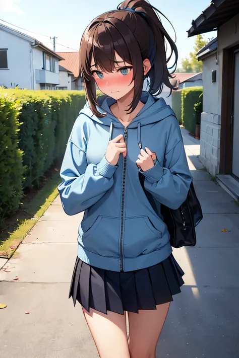 ((best quality)), ((masterpiece)), (detailed), (((perfect face))), ((slender 16yo teenage girl)), (((wearing dark blue pleated skirt))), (((zipped light blue hoodie))), ((brunette)), ((ponytail)), (((shy:1.3))) ((blushing:1.5)), ((skinny thighs)), ((skinny...