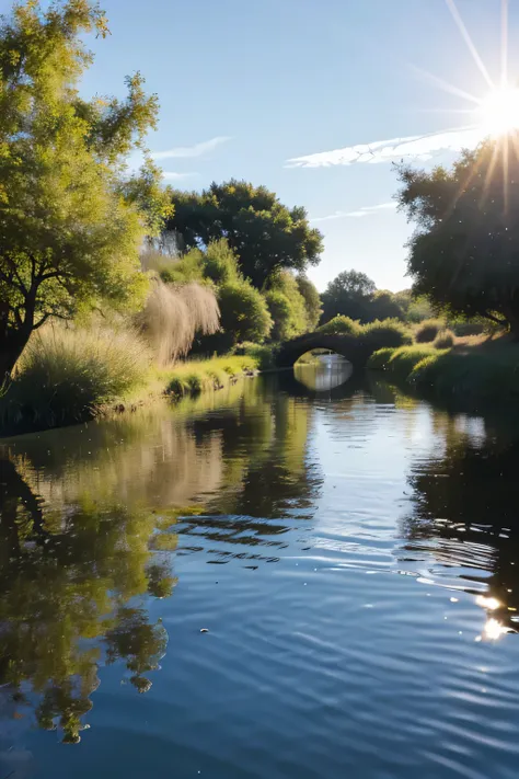 Reeds floating in the blue sky, Egret flying over the willow trees by the lake, The sun shines on the water.