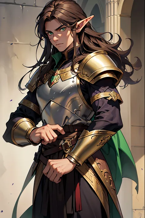 dnd, Middle Ages, fantasy, half-elf, Half-Elf Dark (Half draw), Green eyes, 23 years old, Dark Brown hair, long hair, 189 height, warrior, Master of Martial Arts, slightly purple skin, Man, Scale armor