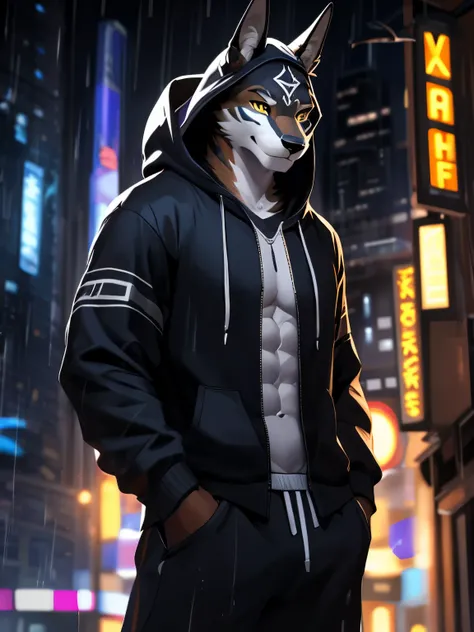 4k, ,8K, A high resolution, best quality, perfect colors, perfect shadows, perfect lighting, posted on e621, (by Chunie), male, furry, Anubis anthro, Brown Fur, solo, Yellow eyes, (Realistic eye details 1.2), night in the city, rain, (Realistic Rain detail...