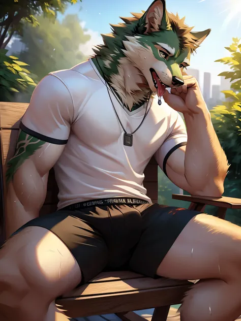 posted on e621, (by chunie), green and white fur wolf, tattoo on hand, tattoo, sit down, on a garden chair, abs, slim body, full...