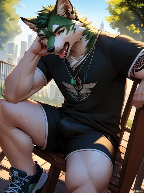 posted on e621, (by chunie), green and white fur wolf, tattoo on hand, tattoo, sit down, on a long garden chair, abs, slim body,...