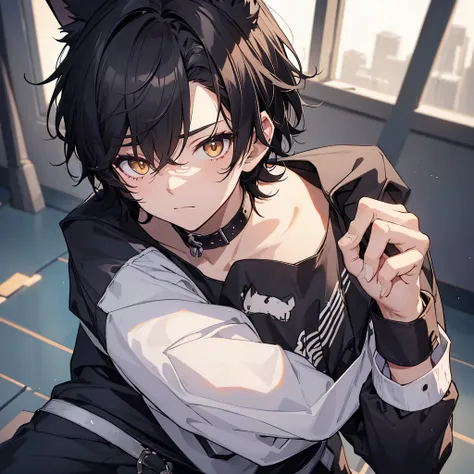 1 Boy, hair black, Cat ear, wolf tail, Bandage on the wrists. head on