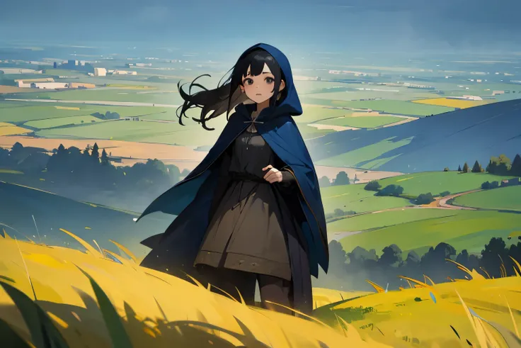 1girl, black hair, black eyes, blue long hood, medieval, meadow background, half body, suprised face, standing