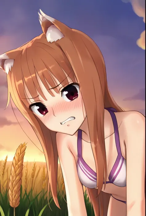 score_9, best quality, masterpiece, uncensored, source_anime
BREAK
1girl, solo, standing, holo (spice and wolf), wolf girl, wolf tail, wolf ears, wheat field, detailed background, evening masterpiece,best quality,1girl bikini,blush,embarrassed,full blush,t...