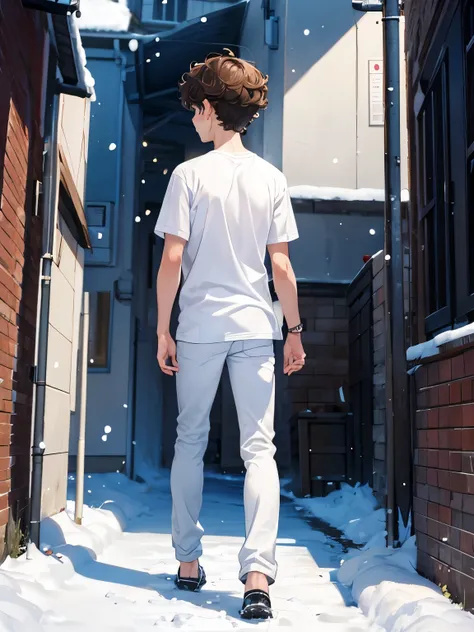 1boy,guy,walk in the north pole,snowing,Facing backwards, photo from behind,Panic expression, shocked expression, hysterical expression,blue eyes,full body photo,18 years old,Curly hair,medium hair,undercut hairstyle,light brown hair,Plain t-shirt, white t...