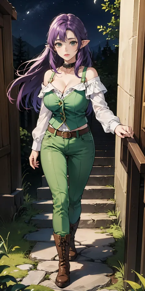 masterpiece, best quality, purplehair, pointy ears, female dwarf, collar, off-shoulder shirt, cleavage, green vest, green pants, large breasts, walking, stairs, forest, night sky, boots