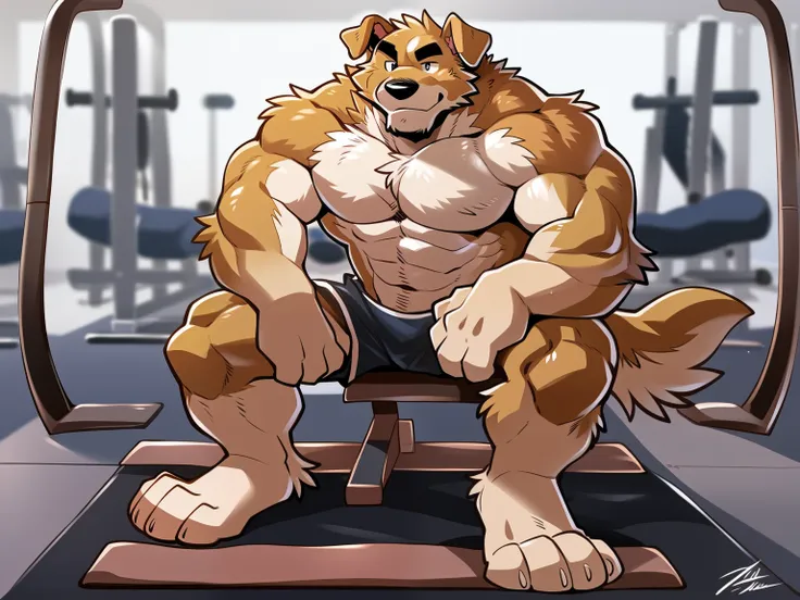 author: takemoto arashi, furry dog, muscular, handsome, good looking, gym set, exercising, hot, gym background, rippled muscles,...