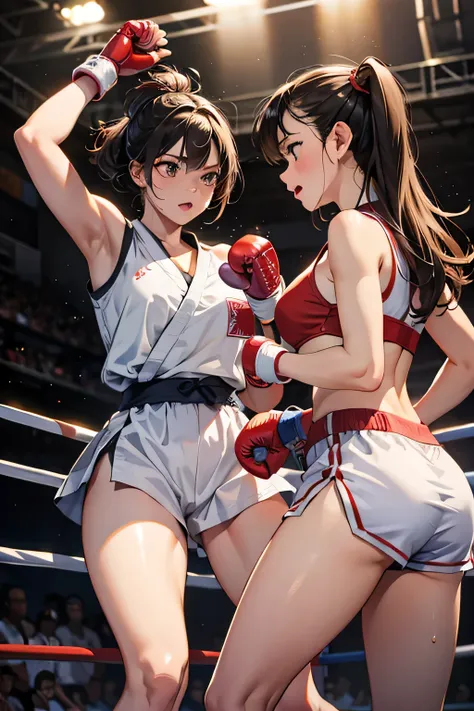 (highest quality, masterpiece, High resolution、Female boxer and female karateka fighting in the ring)、((sweating:1.1))