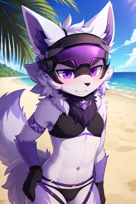 ((best quality, masterpiece, perfect anatomy, detailed picture)), 1male, andromorph, arctic protogen, long visor, purple visor, purple eyes, sexy body, tribal clothing, panties, fluffy tail, red blushing, shy, in the beach, front view