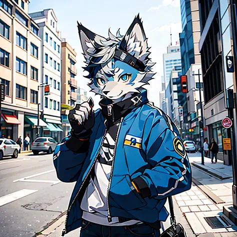 hairy, hairy, gray fur, male, canine, arctic fox, single, sharp claws, Fine hairs,blue eyes, hairy尾巴, blue sweatshirt, white jeans, super detailed: 1.0, city street, Detailed background