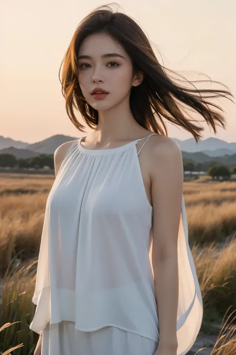 （（best quality，highest resolution，unified 8k，masterpiece：1.4））panoramic，original photo，real，a girl，Short flowing hair，（random clothes），Hair scattered by the wind，medium ，rosy lips，white shiny skin，Upper body，blurred background，grassland，dusk，halo