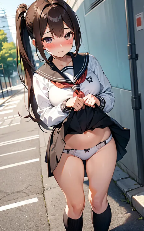 ultra-detailed:1.8、absurderes:1.8, ((From the thigh up:1.5,)), ((school uniform、skirt lift:1.5, showing panties:1.4, pony tail))、(1woman), ultra-detailed eyes、Unity 8K Wallpaper, Masterpiece, detailed hair, highly detailed, (brown hair, embroidery panties:...