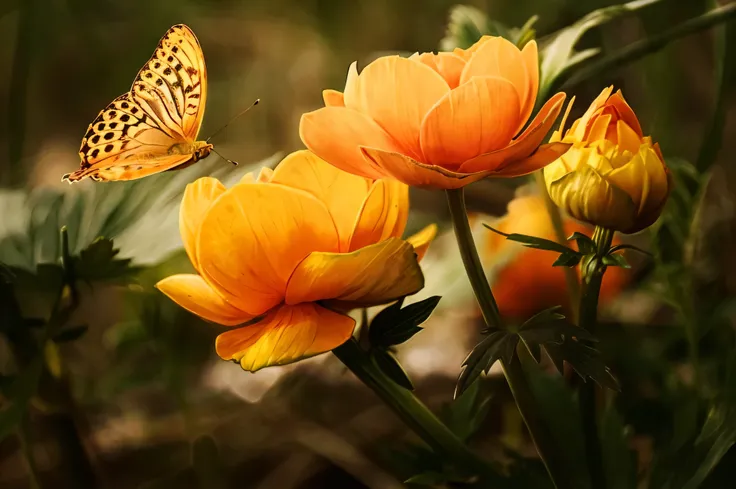 there is a butterfly that is flying over some flowers, flowers and butterflies, harmony of butterfly, orange blooming flowers garden, yellow butterflies, orange flowers, butterflies in the foreground, butterflies and sunrays, butterfly, orange yellow ether...