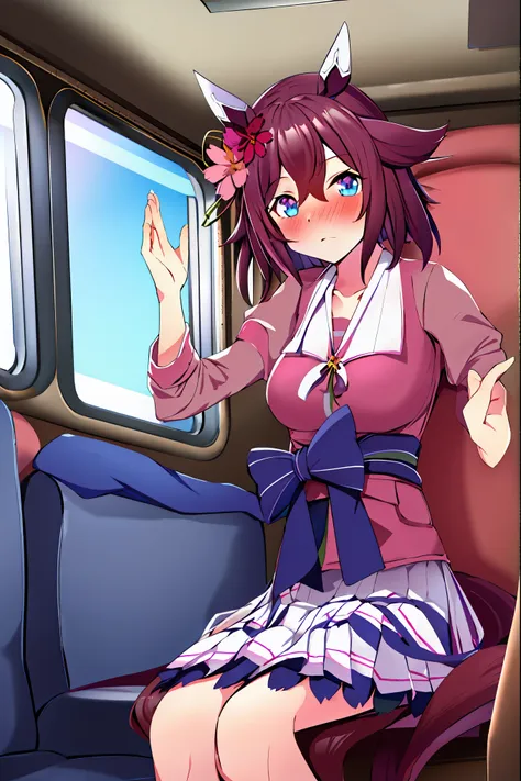 sakura chiyono o(umamusume),tracen ,skirt lifted,white panty,in train,sitting,from front,nose blush