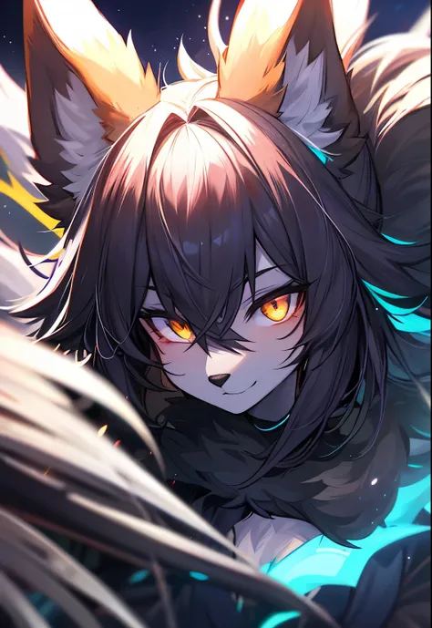 furry, fox, black fur, night, glowing hairs